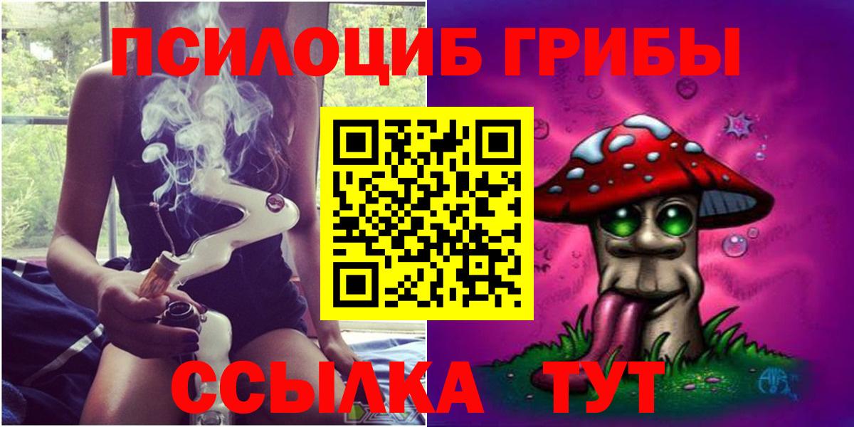 купить  сайты  Псилоцибиновые грибы мицелий  Вход с VPN  Новошахтинск 